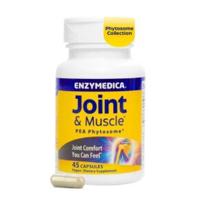 Enzymedica - Joint & Muscle Pea Phytosome - 45 vcaps - Viking Supplements