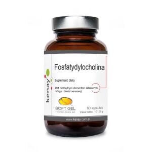 KENAY Fosfatidylkolin (60 kapslar) – Viking Supplements