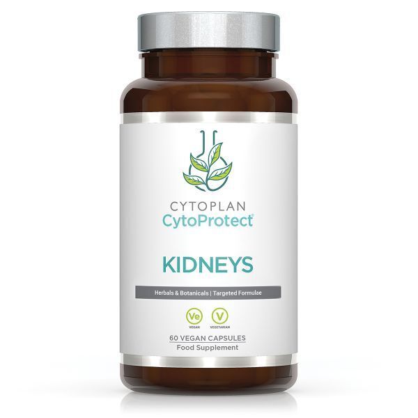 Kidneys - CytoProtect - 60 vcaps - Viking Supplements