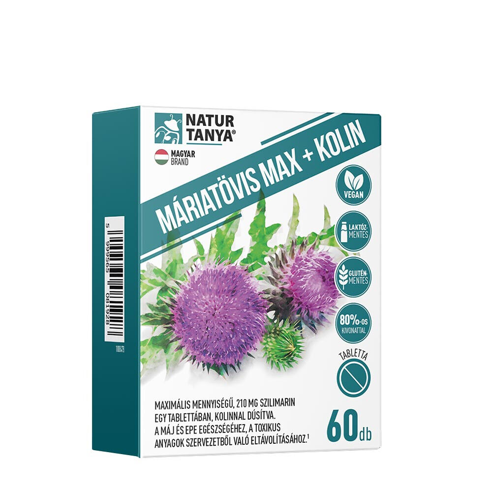 Natur Tanya Milk Thistle Max + Kolin (60 Tablets) - Viking Supplements