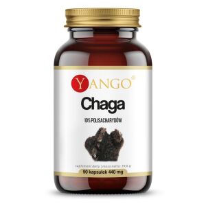 YANGO Chaga – 10% (90 kapslar) – Viking Supplements
